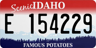 ID license plate E154229