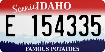 ID license plate E154335