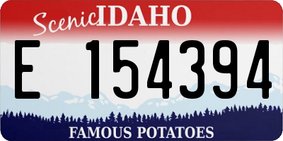 ID license plate E154394
