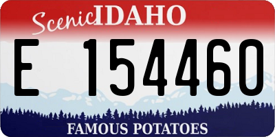 ID license plate E154460