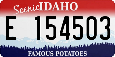 ID license plate E154503