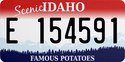 ID license plate E154591