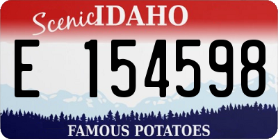 ID license plate E154598