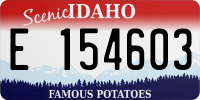 ID license plate E154603