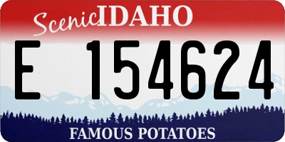 ID license plate E154624