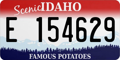 ID license plate E154629