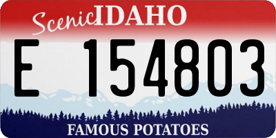 ID license plate E154803