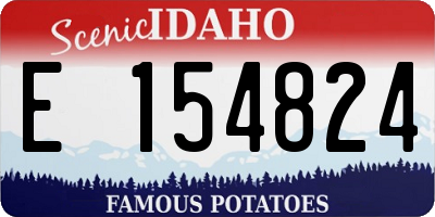 ID license plate E154824