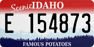 ID license plate E154873