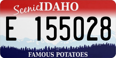 ID license plate E155028