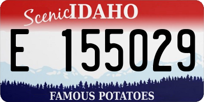 ID license plate E155029