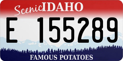 ID license plate E155289
