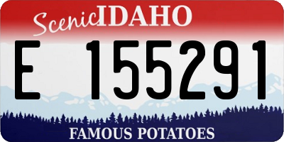 ID license plate E155291