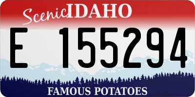 ID license plate E155294