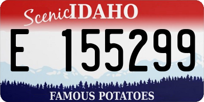 ID license plate E155299