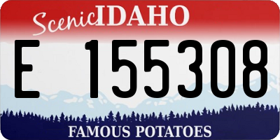 ID license plate E155308