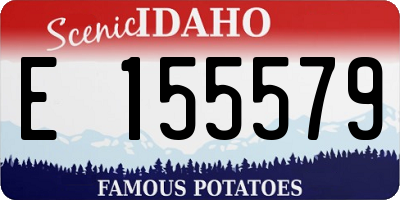 ID license plate E155579