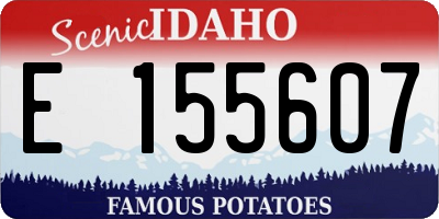 ID license plate E155607