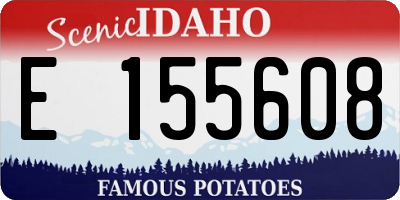 ID license plate E155608