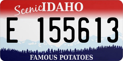 ID license plate E155613