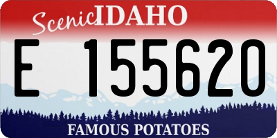 ID license plate E155620