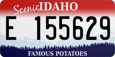 ID license plate E155629