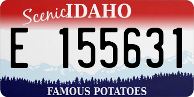 ID license plate E155631