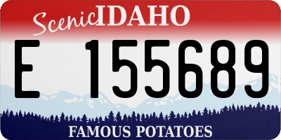 ID license plate E155689