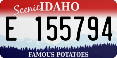 ID license plate E155794