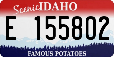 ID license plate E155802