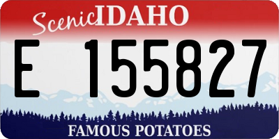 ID license plate E155827
