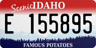 ID license plate E155895