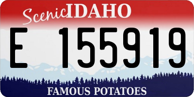 ID license plate E155919