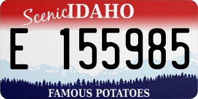 ID license plate E155985