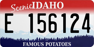 ID license plate E156124