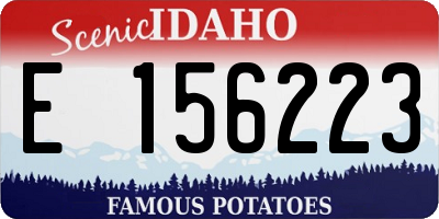 ID license plate E156223