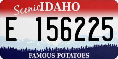 ID license plate E156225