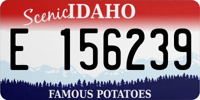 ID license plate E156239