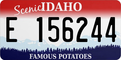 ID license plate E156244