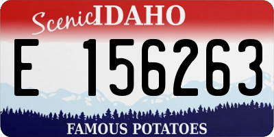ID license plate E156263