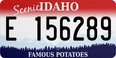 ID license plate E156289