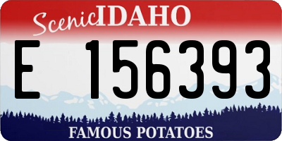 ID license plate E156393