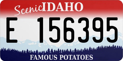 ID license plate E156395