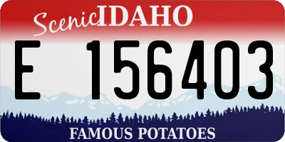ID license plate E156403