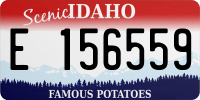 ID license plate E156559