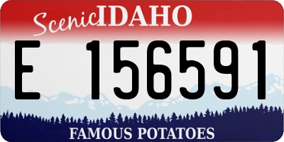 ID license plate E156591