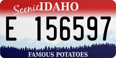 ID license plate E156597