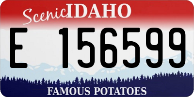 ID license plate E156599