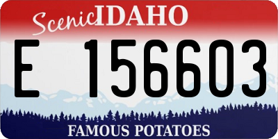 ID license plate E156603