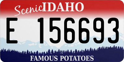 ID license plate E156693